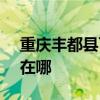 重庆丰都县可提供SKG电烤箱维修服务地址在哪