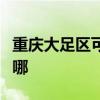 重庆大足区可提供东菱面包机维修服务地址在哪
