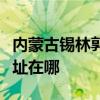 内蒙古锡林郭勒可提供东菱面包机维修服务地址在哪
