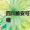 四川雅安可提供SKG电烤箱维修服务地址在哪