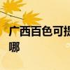 广西百色可提供澳柯玛面包机维修服务地址在哪