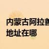 内蒙古阿拉善可提供伊莱克斯面包机维修服务地址在哪