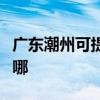 广东潮州可提供澳柯玛面包机维修服务地址在哪