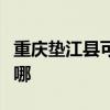 重庆垫江县可提供九阳面包机维修服务地址在哪
