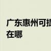 广东惠州可提供伊莱克斯面包机维修服务地址在哪