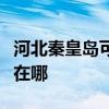 河北秦皇岛可提供澳柯玛面包机维修服务地址在哪