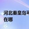 河北秦皇岛可提供飞利浦面包机维修服务地址在哪