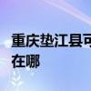 重庆垫江县可提供每时乐加湿器维修服务地址在哪