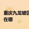 重庆九龙坡区可提供莱克加湿器维修服务地址在哪