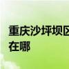 重庆沙坪坝区可提供新飞加湿器维修服务地址在哪