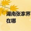 湖南张家界可提供SKG加湿器维修服务地址在哪