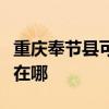 重庆奉节县可提供澳柯玛电风扇维修服务地址在哪