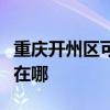 重庆开州区可提供澳柯玛电风扇维修服务地址在哪