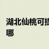 湖北仙桃可提供澳柯玛电风扇维修服务地址在哪