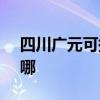 四川广元可提供SKG电风扇维修服务地址在哪