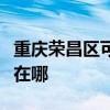 重庆荣昌区可提供荣事达电暖器维修服务地址在哪