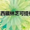 西藏林芝可提供志高电暖器维修服务地址在哪