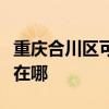 重庆合川区可提供澳柯玛电暖器维修服务地址在哪