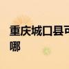 重庆城口县可提供TCL电暖器维修服务地址在哪