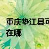 重庆垫江县可提供海尔饮水设备维修服务地址在哪