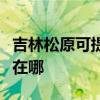 吉林松原可提供荣事达饮水设备维修服务地址在哪