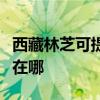 西藏林芝可提供安之星饮水设备维修服务地址在哪