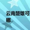 云南楚雄可提供SKG榨汁机维修服务地址在哪