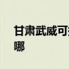 甘肃武威可提供SKG榨汁机维修服务地址在哪