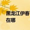 黑龙江伊春可提供SKG榨汁机维修服务地址在哪