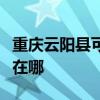 重庆云阳县可提供艾美特榨汁机维修服务地址在哪