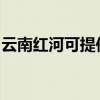 云南红河可提供康佳榨汁机维修服务地址在哪