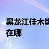 黑龙江佳木斯可提供洛贝榨汁机维修服务地址在哪