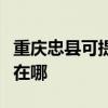 重庆忠县可提供三星空气净化器维修服务地址在哪