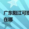 广东阳江可提供松下空气净化器维修服务地址在哪