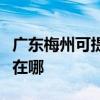 广东梅州可提供三星空气净化器维修服务地址在哪