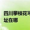四川攀枝花可提供松下空气净化器维修服务地址在哪
