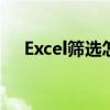 Excel筛选怎么用 Excel表格筛选的方法