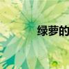 绿萝的花语 绿萝的花语是什么