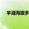 羊湖海拔多少米高 羊湖海拔有多少米呢