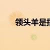 领头羊是指哪种人 领头羊是指哪些人
