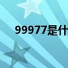 99977是什么意思 99977是什么意思梗
