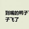 到嘴的鸭子飞了什么意思 为什么说到嘴的鸭子飞了