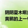 阴阴夏木啭黄鹂的上一句是什么 阴阴夏木啭黄鹂的上一句