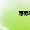 薄荷岛在哪里 薄荷岛怎么去