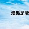 漫狐是哪个的品牌 漫狐是什么品牌