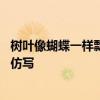 树叶像蝴蝶一样飘落下来仿写 树叶像蝴蝶一样飘落下来怎么仿写
