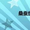 桑蚕丝怎么洗 桑蚕丝的洗法