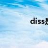 diss是什么意思 diss的含义