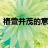 椿萱并茂的意思 椿萱并茂的意思是什么意思