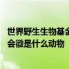 世界野生生物基金会会徽是哪种动物 世界野生生物基金会的会徽是什么动物 
